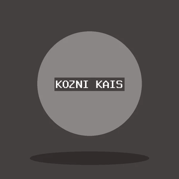 Kožni kaiš
